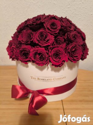 The roselamd company 50 szál rózsa díszdobzoban