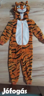 Tigris jelmez 3-4 év