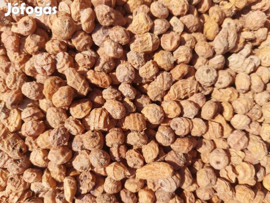 Tigrismogyoró 10-14 mm-es large eladó postai utánvéttel