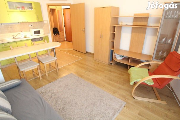 Tisza Palotában am. nappali + 1 szobás lakás