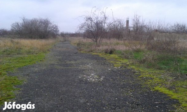 Tisza Tónál, 13,3 HA Jogtiszta Fejlesztési Terület, Kedvezményes Áron