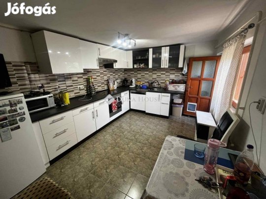 Tiszaalpáron családi ház, ami gazdálkodásra is alkalmas!