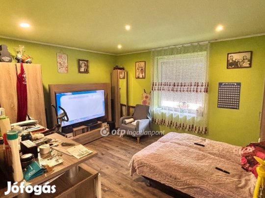 Tiszaföldvári 150 nm-es ház eladó