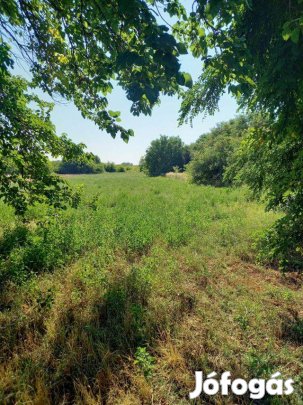 Tiszaföldváron kedvező áron telek eladó