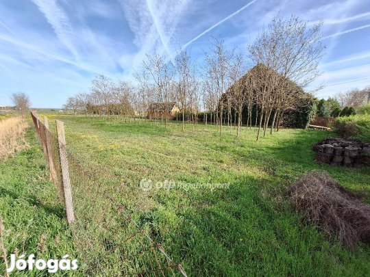 Tiszajenői eladó 948 nm-es telek