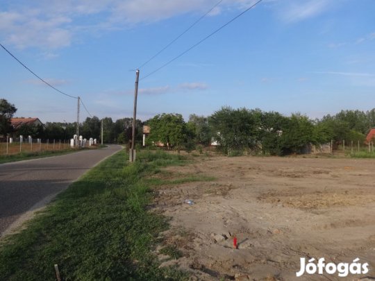 Tiszakécske, Darázs utca, 477 m2-es, telek
