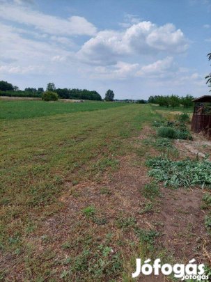 Tiszakécske, Fenyves utca, kivett beépítetlen terület