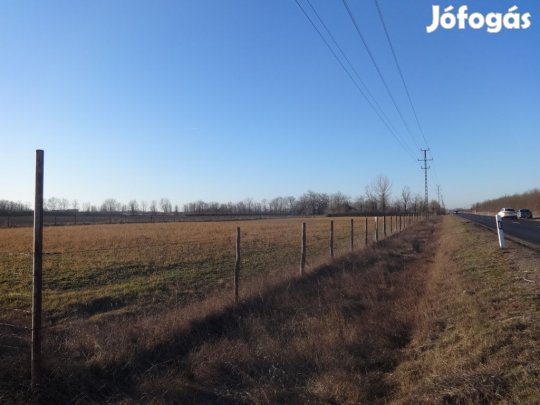 Tiszakécske, Szentkirályi út út, 8225 m2-es, telephely, kiváló
