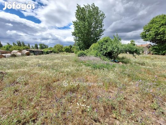 Tiszakécskei eladó 1075 nm-es telek