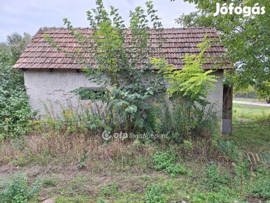 Tiszakécskei eladó 1445 nm-es telek