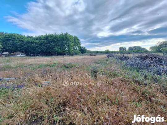 Tiszakécskei eladó 1700 nm-es telek