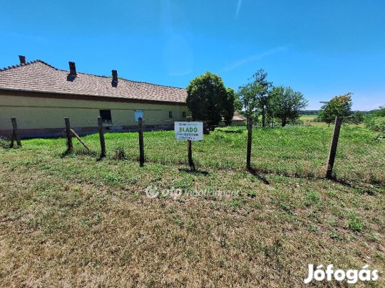 Tiszakécskei eladó 4050 nm-es telek