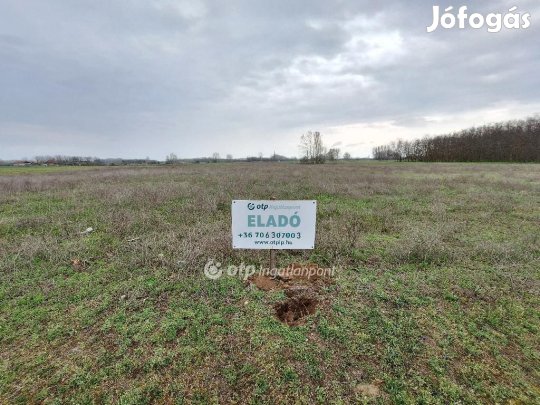 Tiszakécskei eladó 9140 nm-es telek
