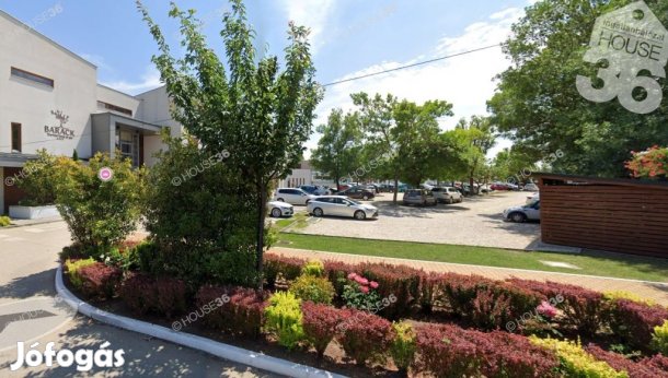 Tiszakécskén a Barack Hotel közelében 8 szobás üdülőház ELADÓ !