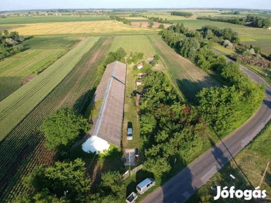 Tiszalökön ipari ingatlan 1,4 hektár telekkel eladó