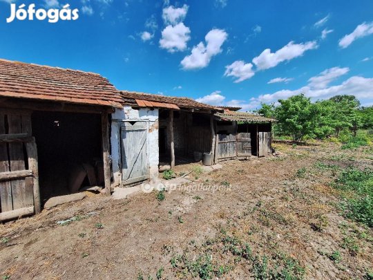 Tiszaörsi eladó 80 nm-es ház