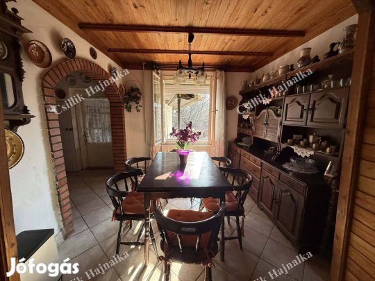 Tiszasüly-hangulatos családi ház, teljes berendezéssel