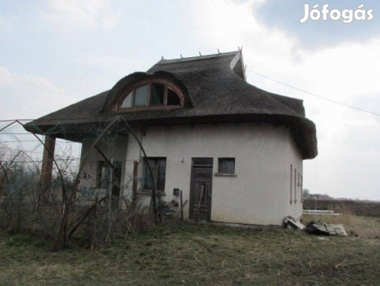 Tiszasüly külterületén Halastó eladó