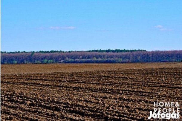 Tiszaszigeten szántó eladó!