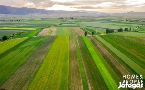 Tiszaszigeten szántó eladó!