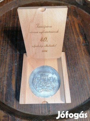 Tiszaújváros plaket