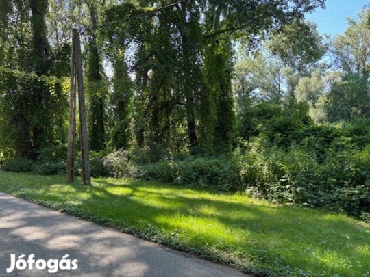 Tiszaújvárosban a Tisza szigeten építési telek eladó!
