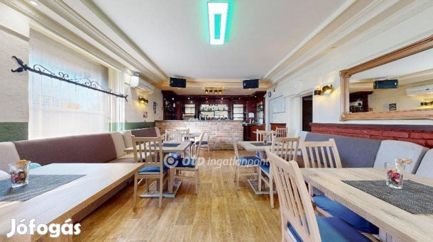 Tiszavasvárii 170 nm-es ház eladó