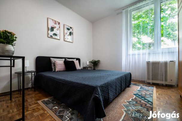 Tiszta téglalap alakú nappali hálószoba szőnyeg 160x230 cm