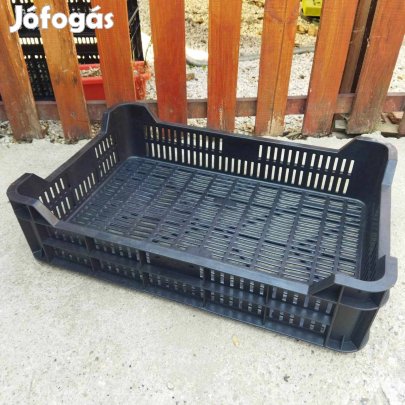 Több Új erős M10 műanyag rekesz láda tároló zöldséges gyümölcs almás