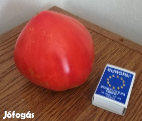 Többféle paradicsommag eladó