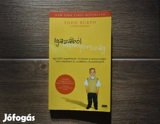 Todd Burpo, Lynn Vincent: Igazából mennyország