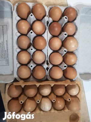 Tojás eladó 