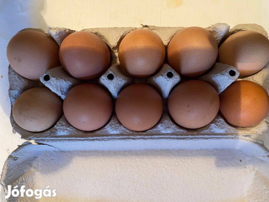 Tojás eladó tanyasi tojás eladó