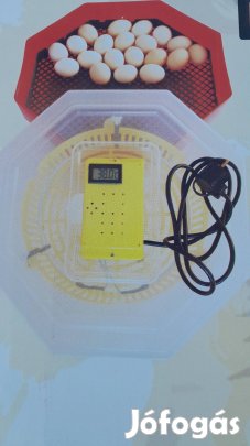 Tojás keltető,keltetőgép,Cleo 5.