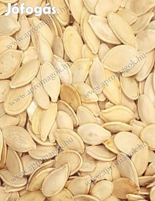 Tökmag Héjas Natur Étkezési tökmag eladó, akár postai szállítással is