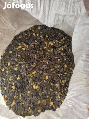 Tökmag ,héj nélküli