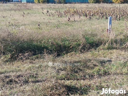 Tököli 677 nm-es telek eladó