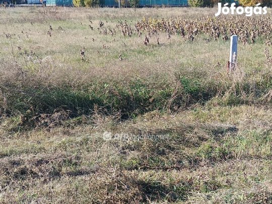 Tököli eladó 677 nm-es telek
