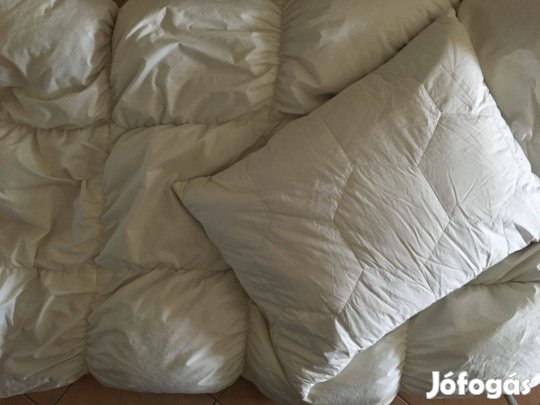 Tollpaplan és tollpárna