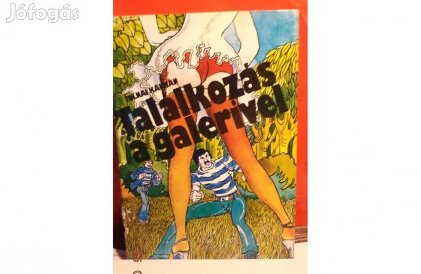 Tolnai Kálmán: Találkozás a galerivel - Számvetés