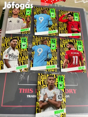 Top Class Hologaint kártyák