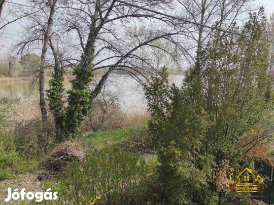 Tóparti ház Délegyházán! 1246