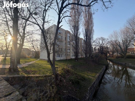 Tópartközeli lakás Tatán, kilátással a vízre, bomba áron