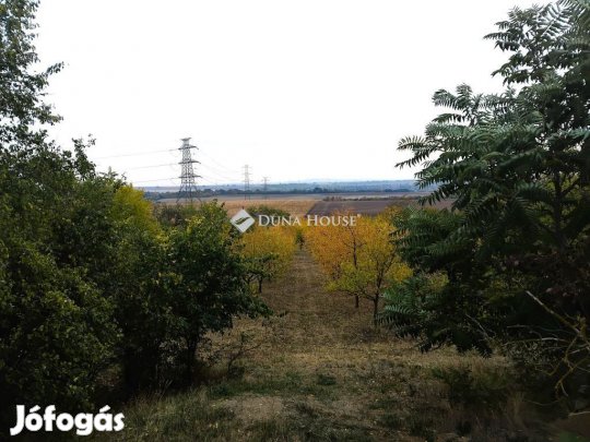 Tordasi 1639 nm-es telek eladó
