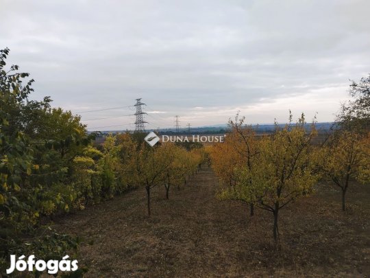 Tordasi eladó 1639 nm-es telek