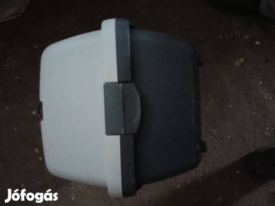 Törpe nyúl szállítás box