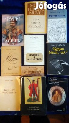 Történelmi könyvek 