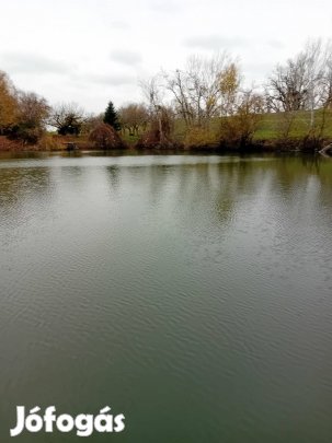 Torzsás zugban közvetlen vízparti nyaraló eladó