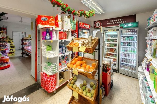 Tótvázsonyi 546 nm-es ház eladó