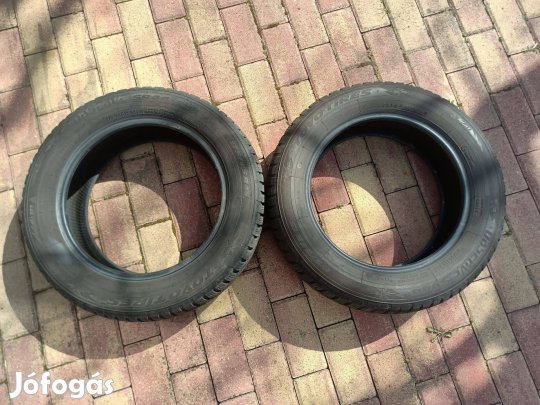 Toyo Observe S944 175/65 R15 (2023-as téli gumi)